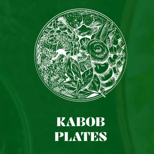 White line art illustration of a Mediterranean kabob plate with various foods on a green background.